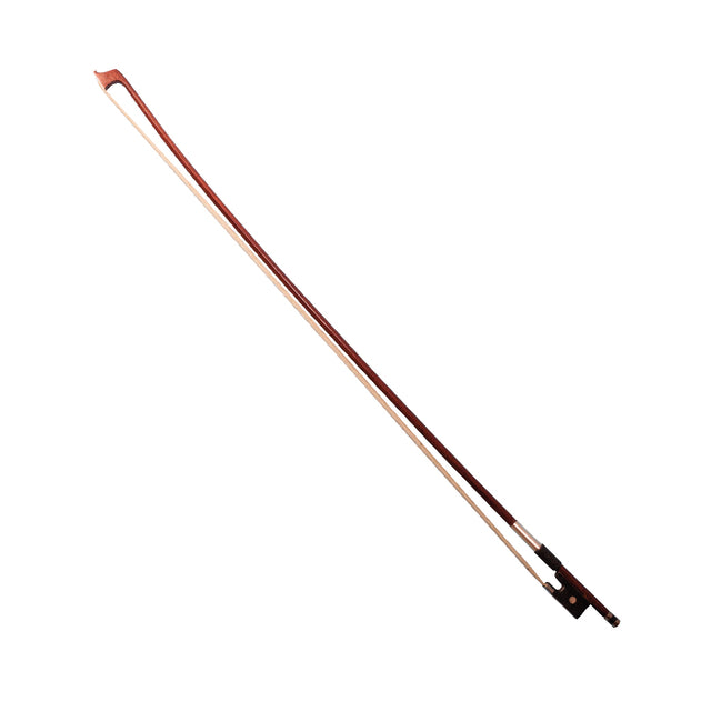 Violín 4/4 Master Kit