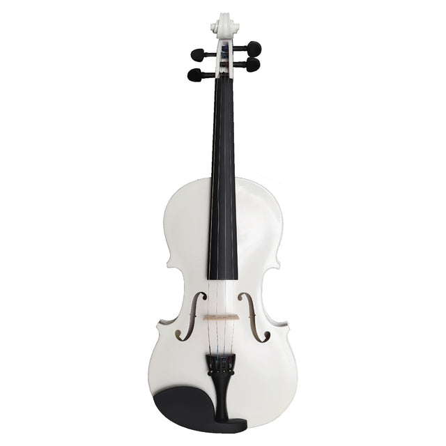 Violín 4/4 Master Kit